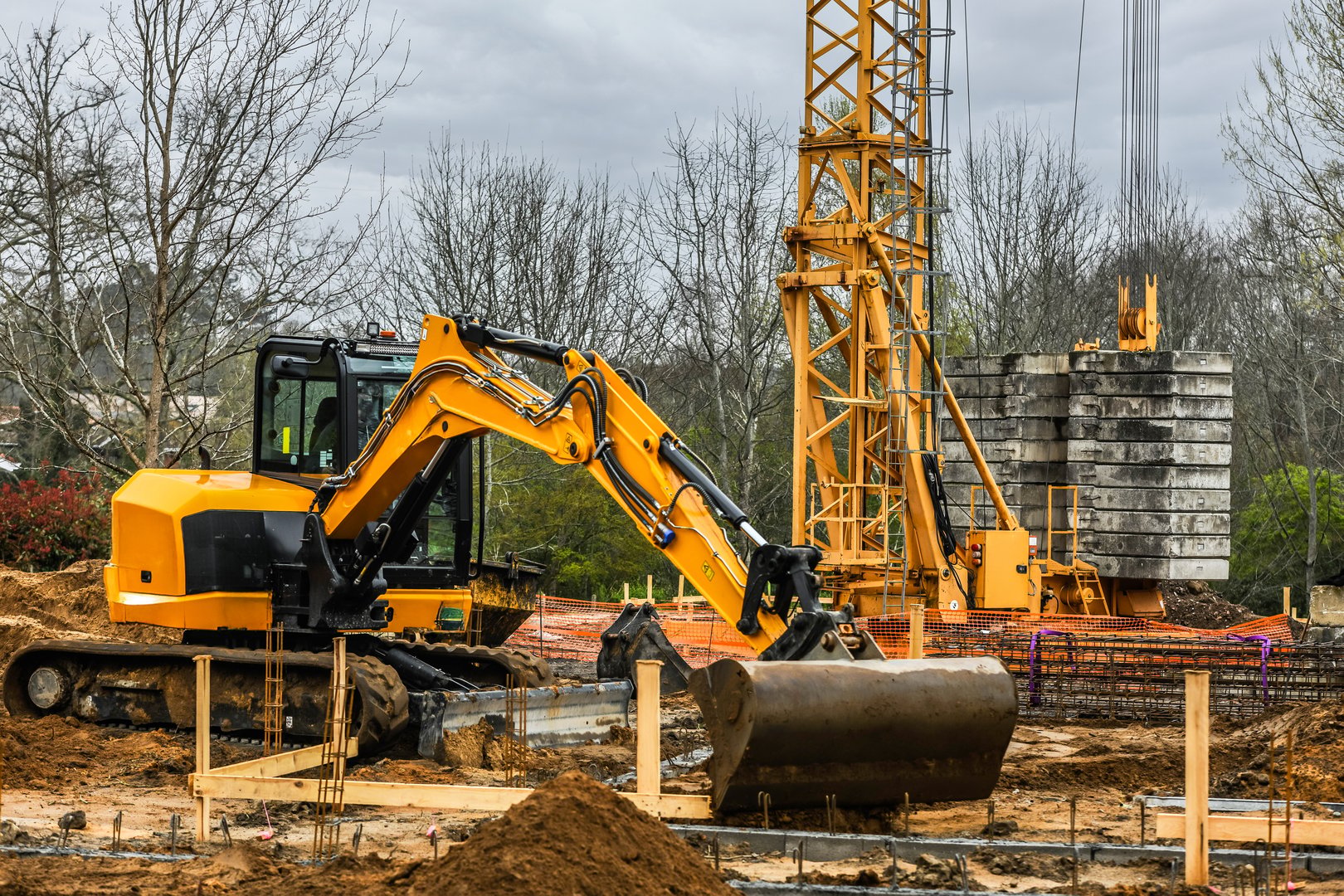 Costruiamo il Futuro Insieme